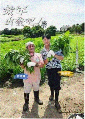 秋霞电影网站 极限挑战 男人帮